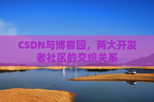 CSDN与博客园，两大开发者社区的交织关系